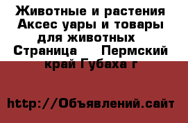 Животные и растения Аксесcуары и товары для животных - Страница 2 . Пермский край,Губаха г.